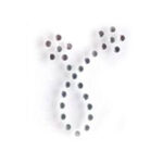 Bikini Gems - Flower Loop - clear, amethyst flower